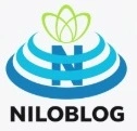 برترین فروشگاه کارتون وانیمیشن روز دنیا
